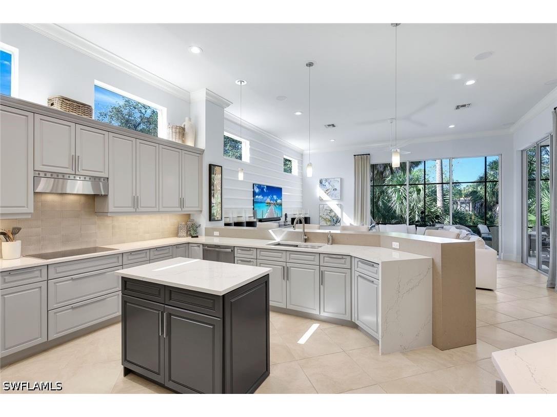 28585 Via D Arezzo Drive Bonita Springs FL 34135 226022369 image18