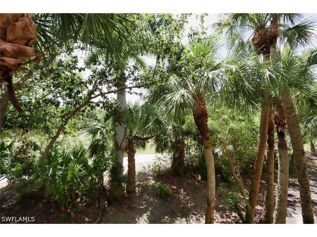 2868 Tiburon Boulevard E #102 Naples FL 34109 226022487 image28