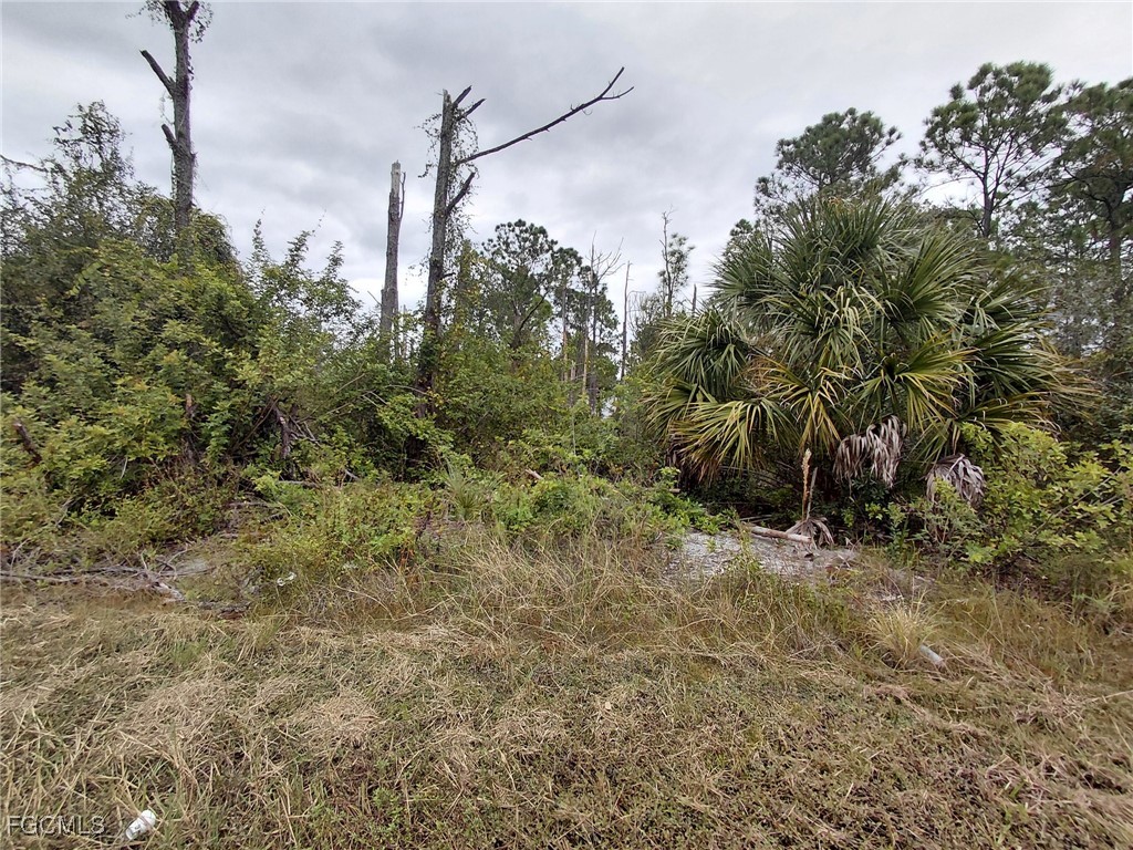 287 Avenida Del Sur Clewiston FL 33440 2025016541 image3