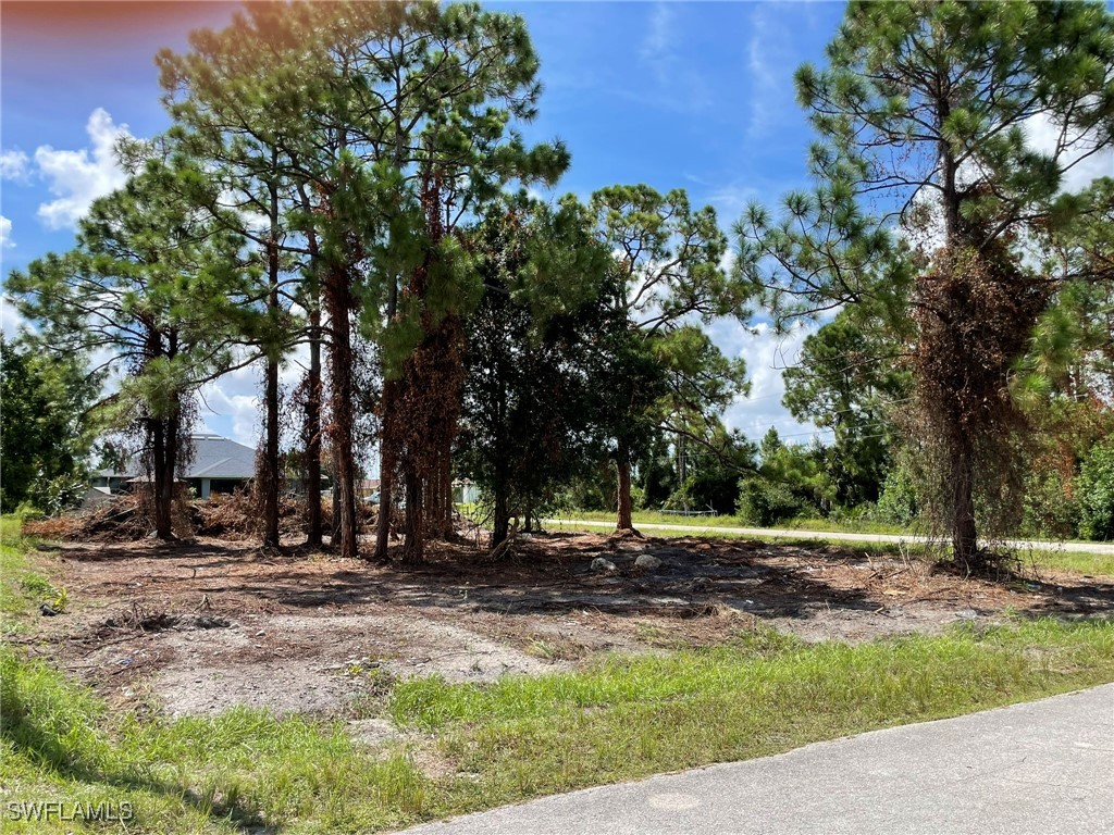 2900 Bruce Avenue S Lehigh Acres FL 33976 224069690 image1