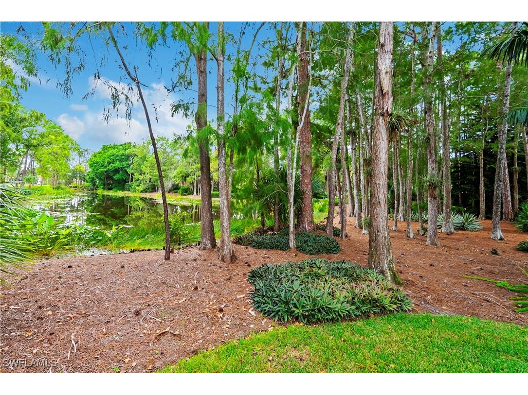 2900 Indigobush Way Naples FL 34105 225070834 image36