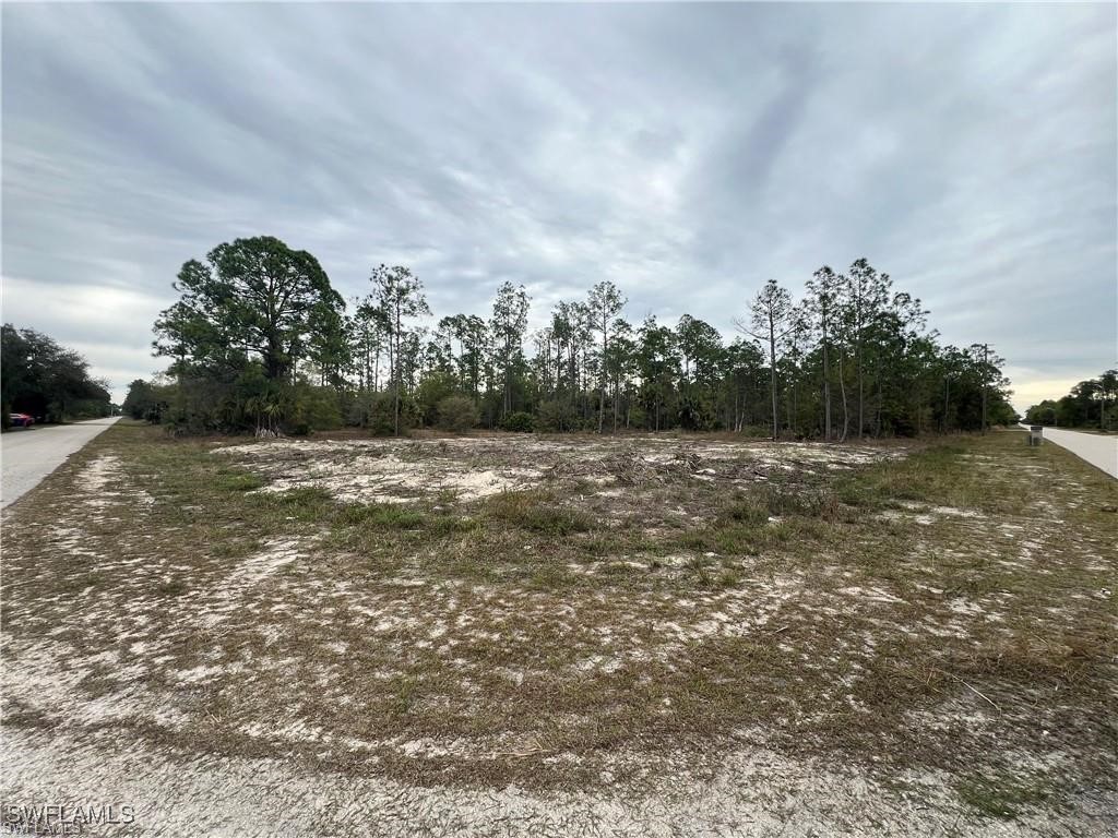 2901 E 14th Street Lehigh Acres FL 33972 224063691 image1