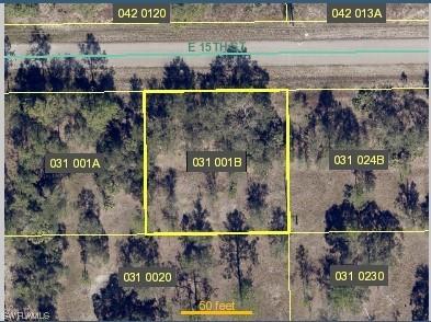 2902 E 15th Street Lehigh Acres FL 33972 224011297 image1