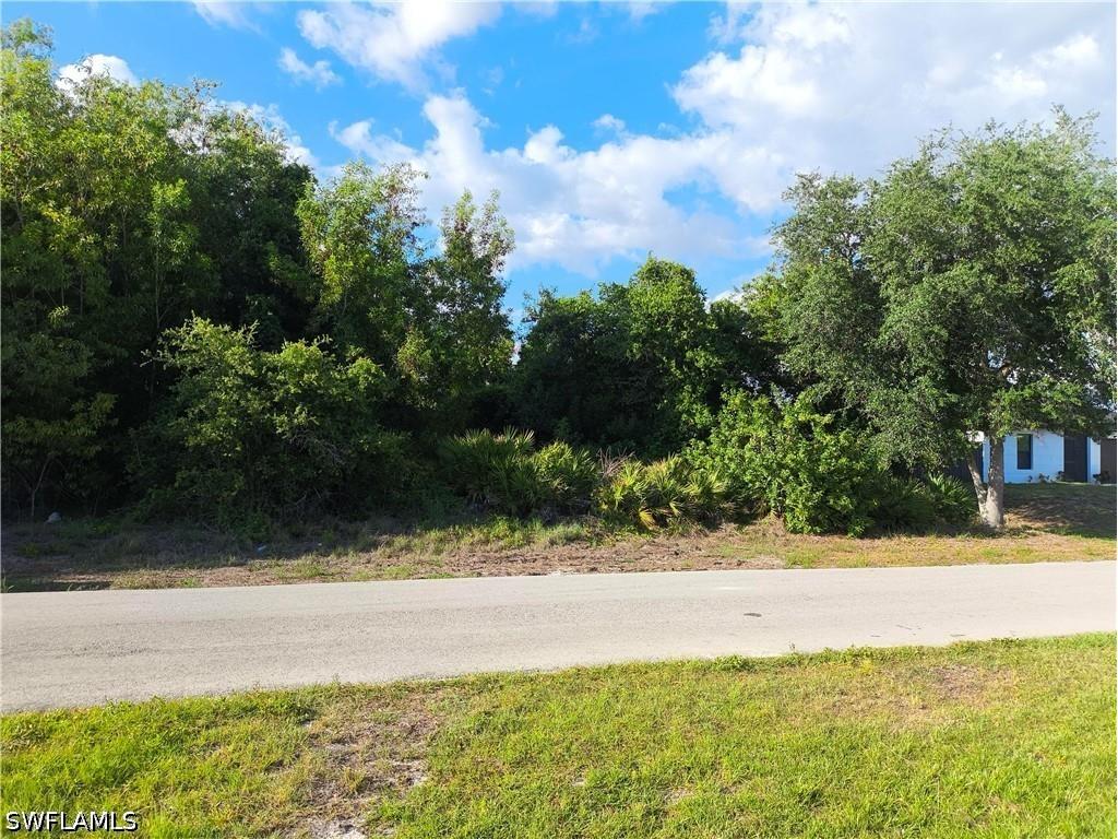 2904 3rd Street W Lehigh Acres FL 33971 226016572 image1