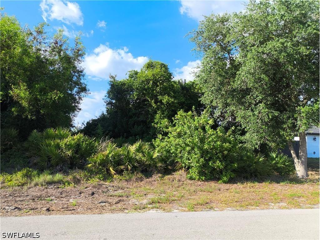 2904 3rd Street W Lehigh Acres FL 33971 226016572 image5