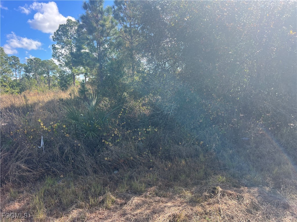 2904 Ida Avenue N Lehigh Acres FL 33971 2026002518 image4