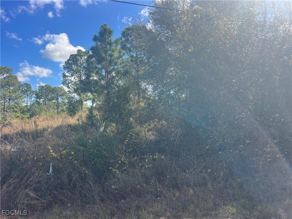 2904 Ida Avenue N Lehigh Acres FL 33971 2026002518 image5