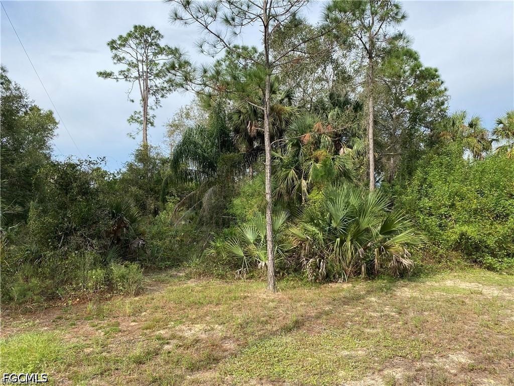 2905 Ashburn Street Lehigh Acres FL 33972 2026023302 image4
