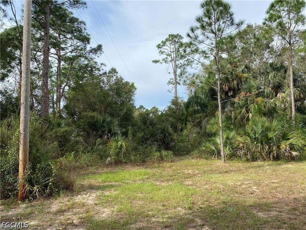 2905 Ashburn Street Lehigh Acres FL 33972 2026023302 image5