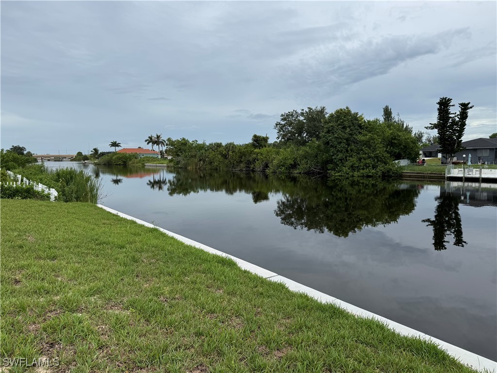 2907 NW 9th Street Cape Coral FL 33993 225065956 image3