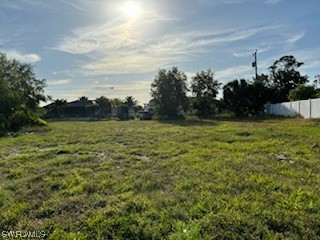 2908 NE 5th Avenue Cape Coral FL 33909 224023652 image1