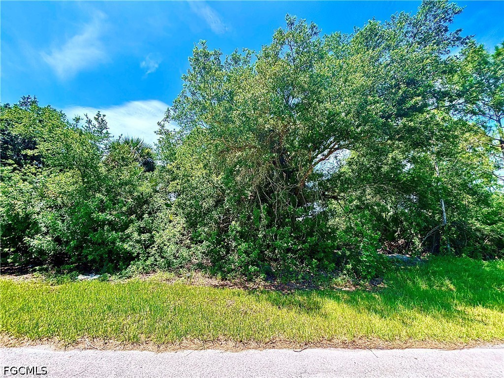 2909 4th Street SW Lehigh Acres FL 33976 2026025866 image1