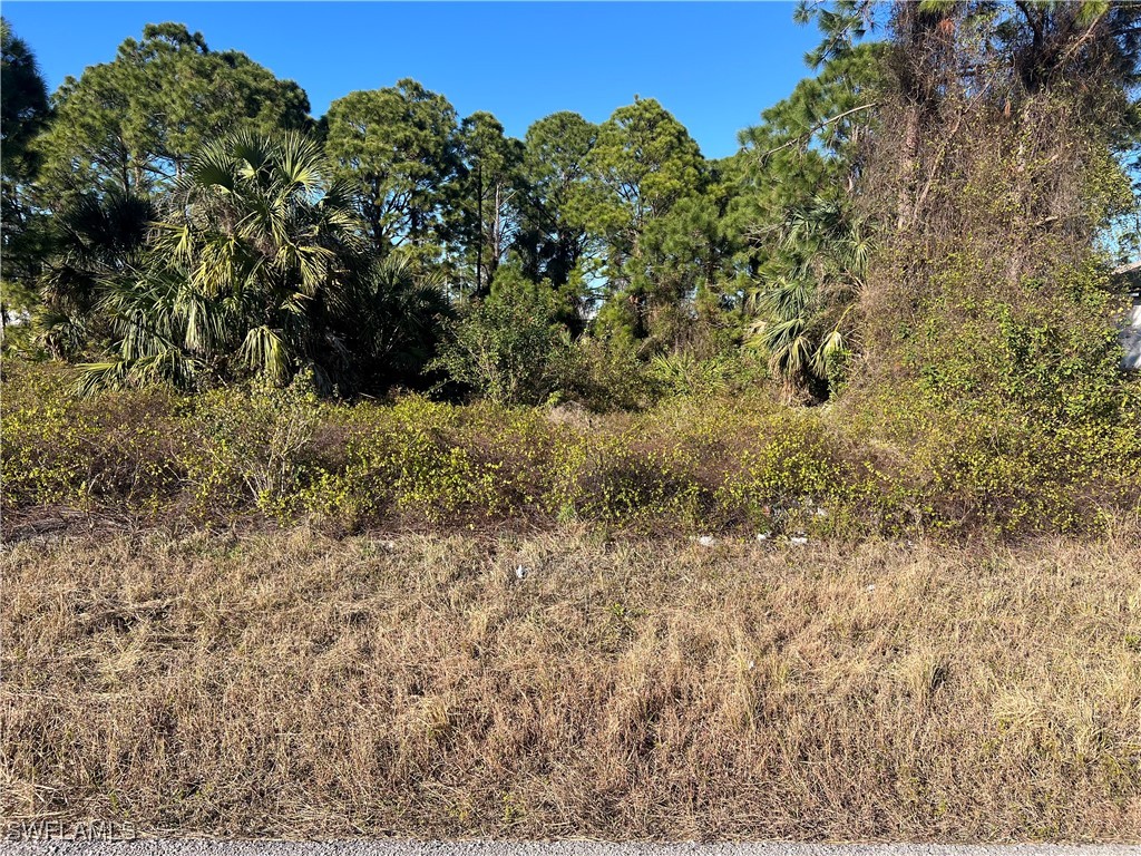 2910 19th Street SW Lehigh Acres FL 33976 225009370 image1