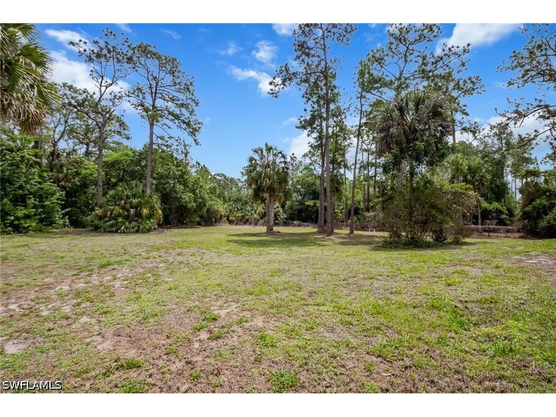 2910 2nd Street NE Naples FL 34120 226013788 image27