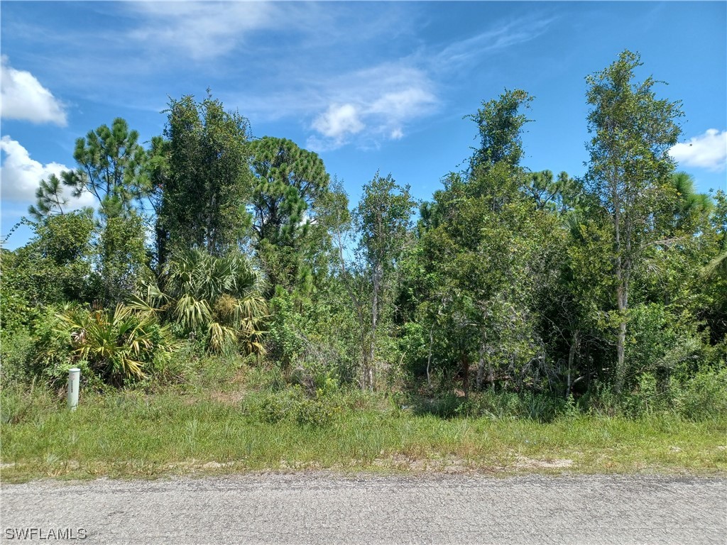 2910 43rd Street W Lehigh Acres FL 33971 223056808 image1