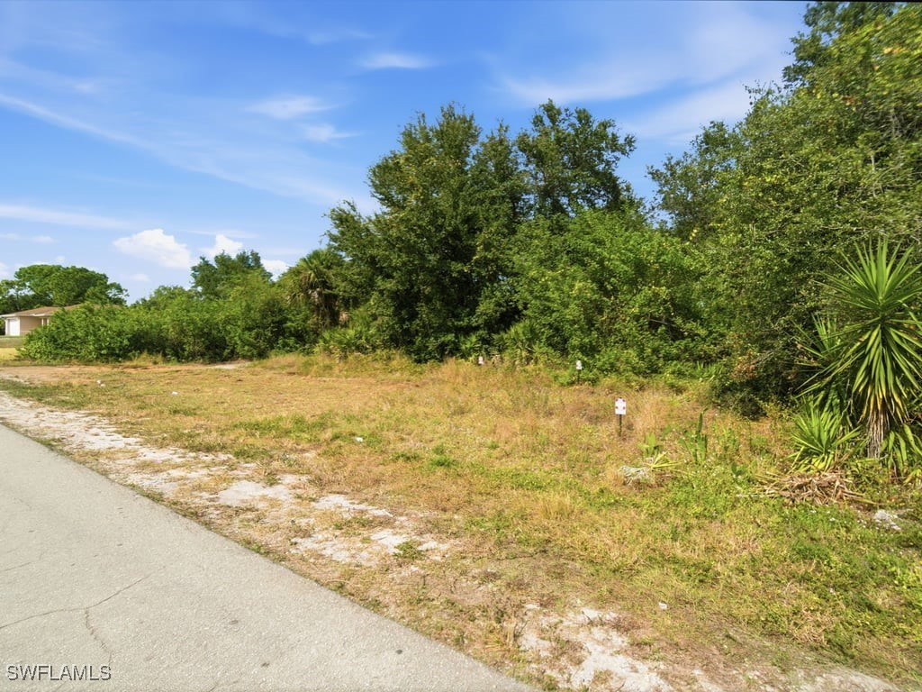 2910 51st Street SW Lehigh Acres FL 33976 225082844 image6