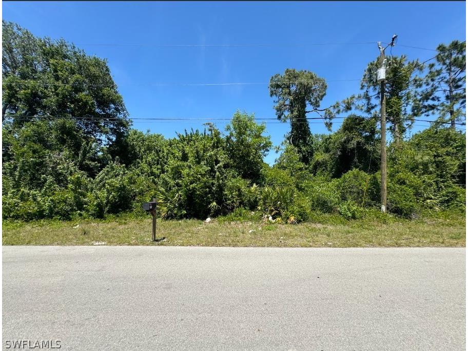 2910 9th Street W Lehigh Acres FL 33971 224045819 image1