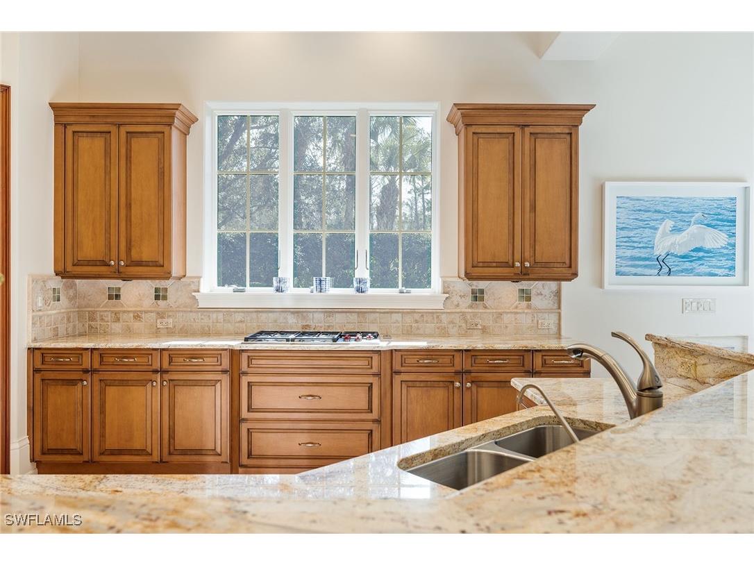 29100 Positano Lane Naples FL 34110 226000232 image21