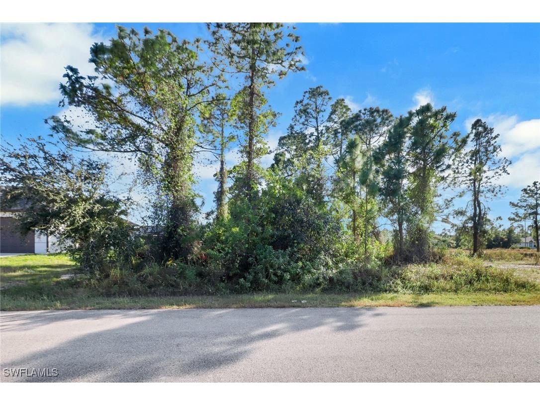 2911 33rd Street SW Lehigh Acres FL 33976 224103615 image1