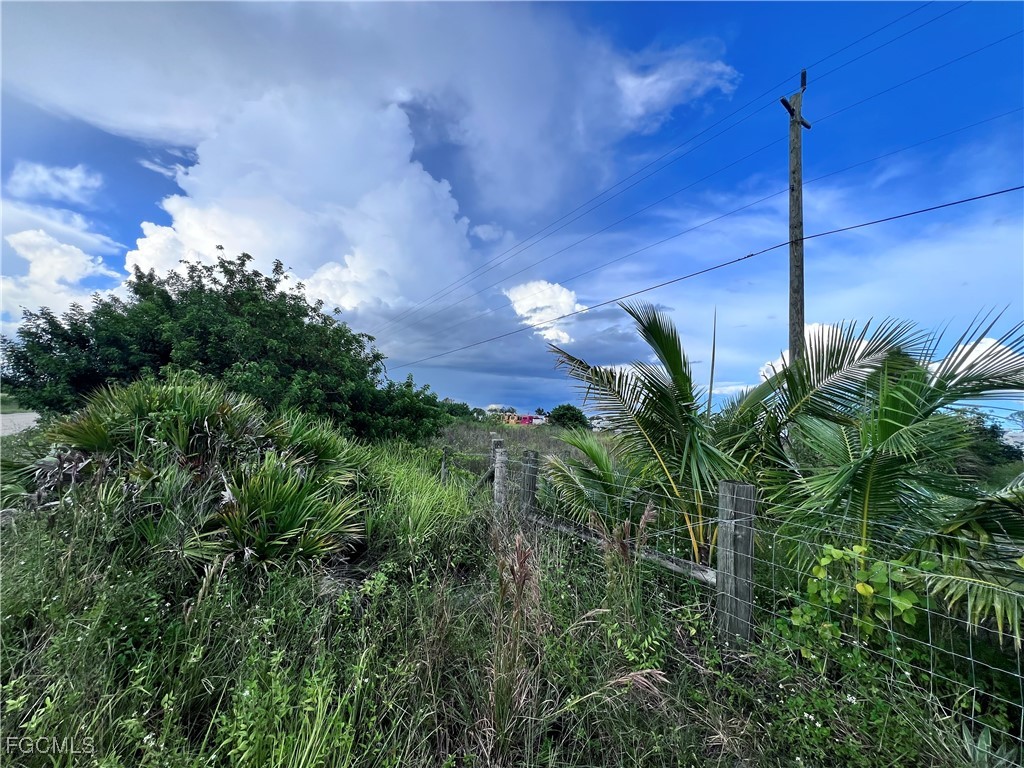 2913 Fernwood Lane Labelle FL 33935 2025012188 image4