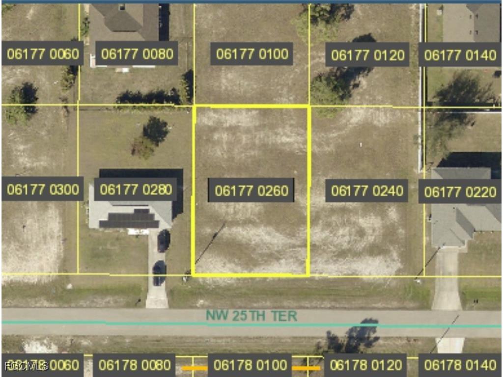 2917 NW 25th Terrace Cape Coral FL 33993 2025004614 image2