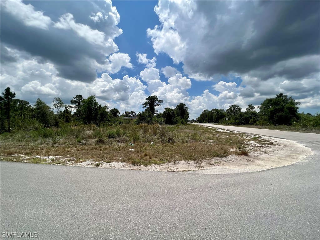 2919 11th Street W Lehigh Acres FL 33971 223038145 image1
