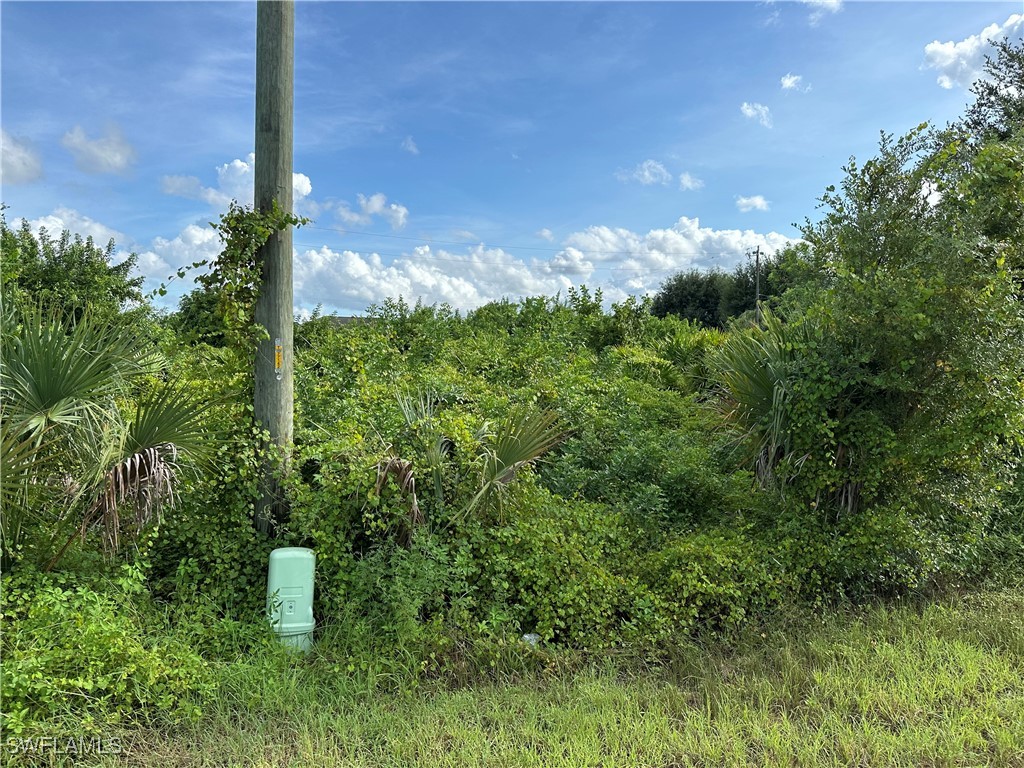 2919 9th Street SW Lehigh Acres FL 33976 224066285 image1
