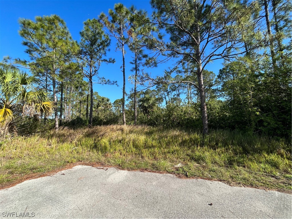 2920 21st Street W Lehigh Acres FL 33971 223030591 image1