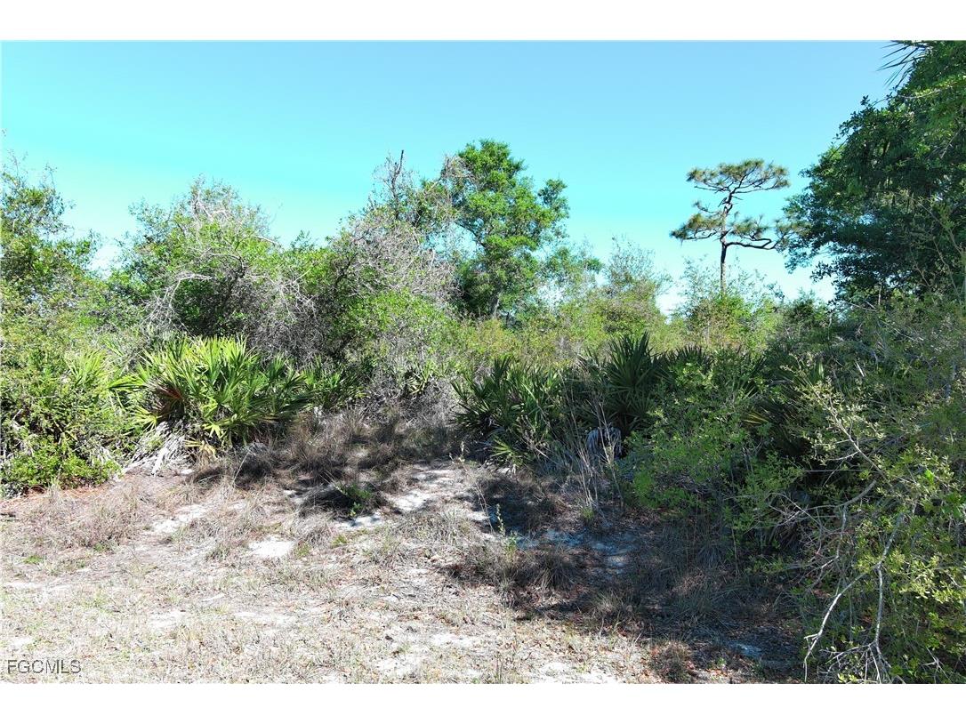 29242 Defiance Avenue Punta Gorda FL 33982 2025003487 image2