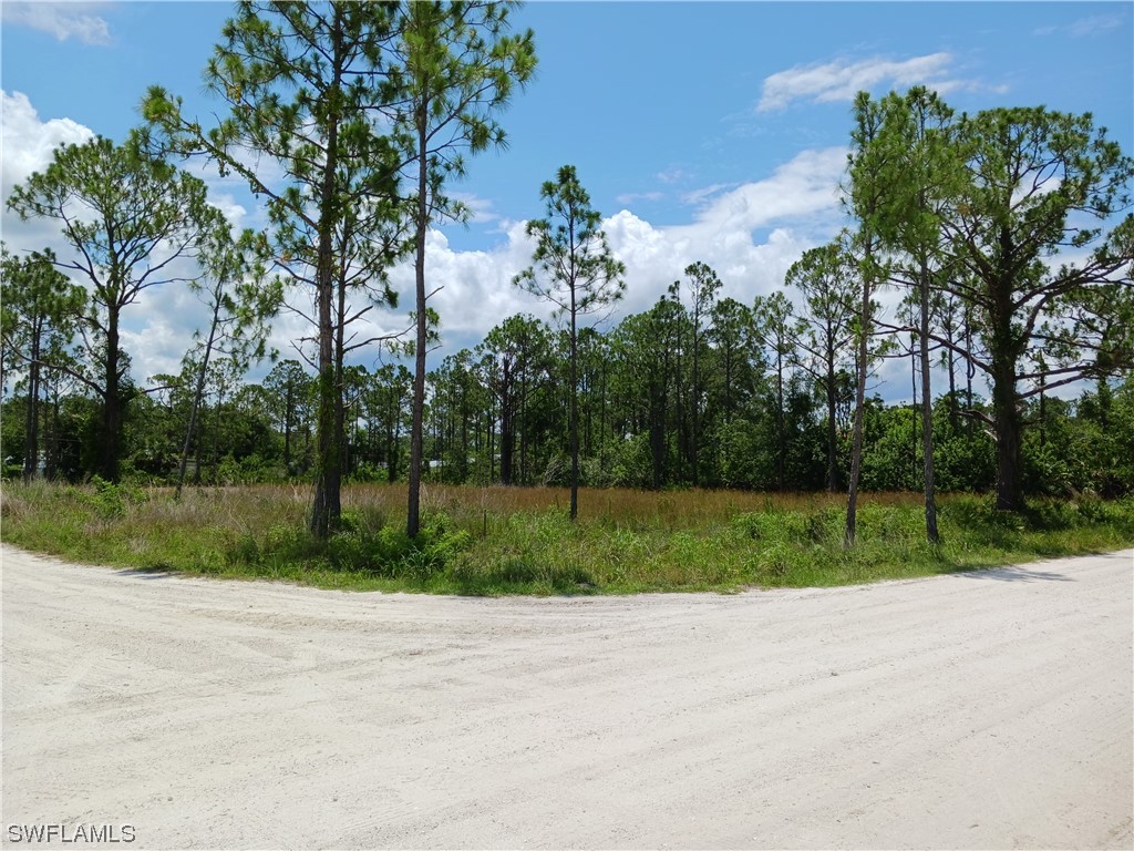 29357 Ameropa Drive Punta Gorda FL 33982 223043088 image1