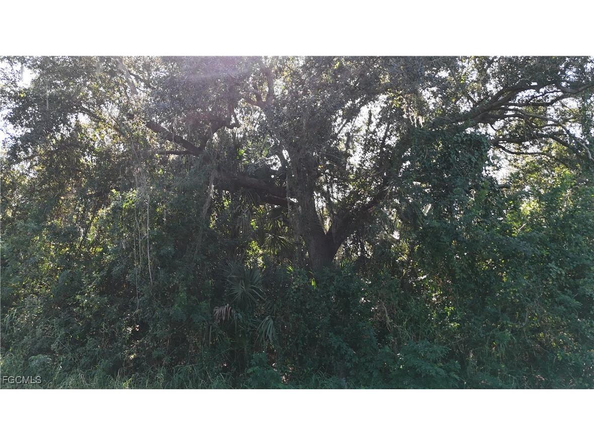 29359 Nottingham Road Punta Gorda FL 33982 2025023733 image10