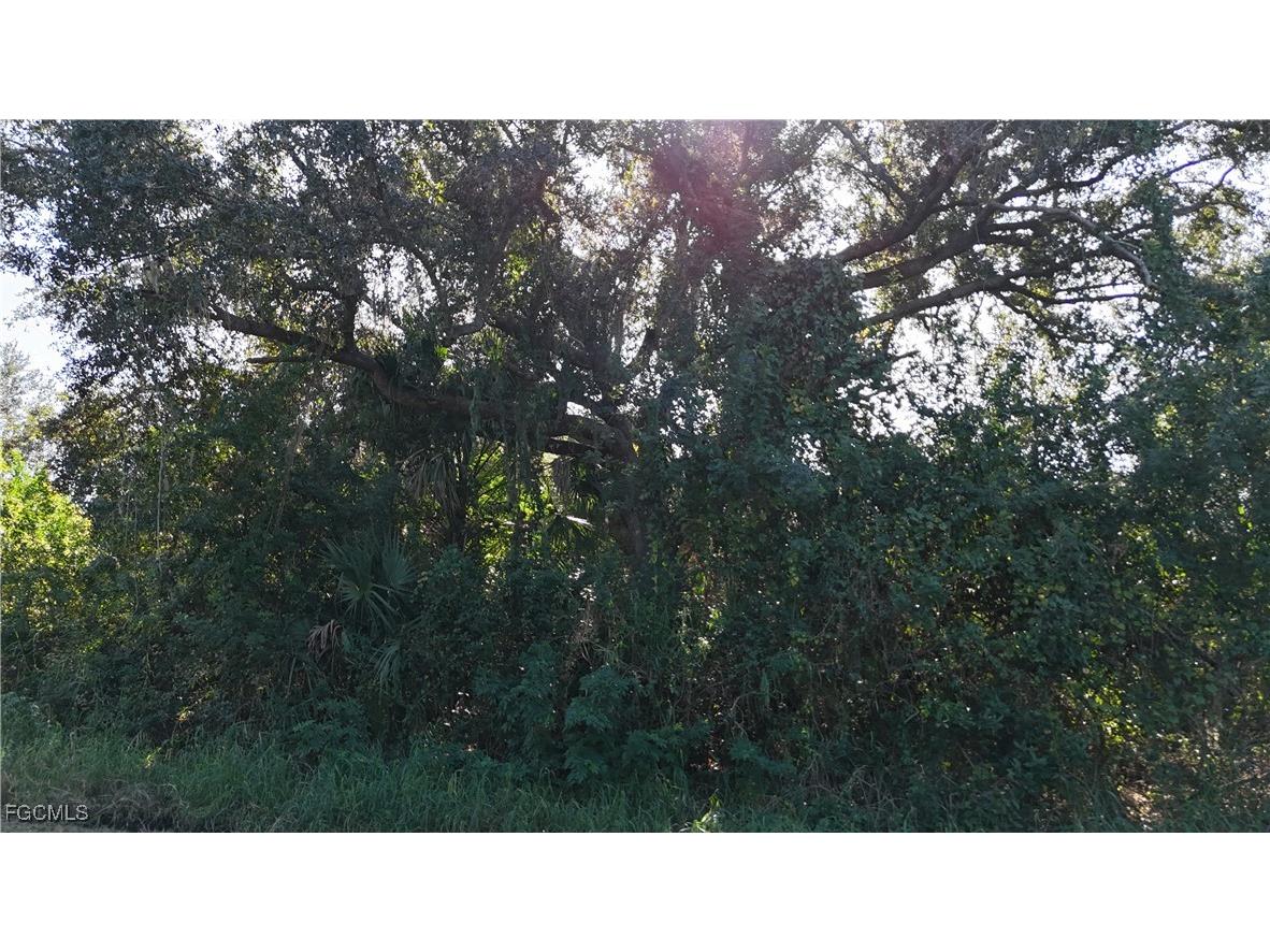 29359 Nottingham Road Punta Gorda FL 33982 2025023733 image17