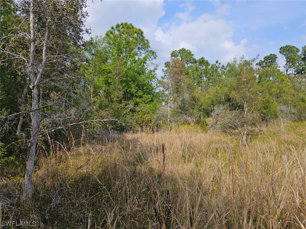 29372 Hazelwood Drive Punta Gorda FL 33982 224020204 image1