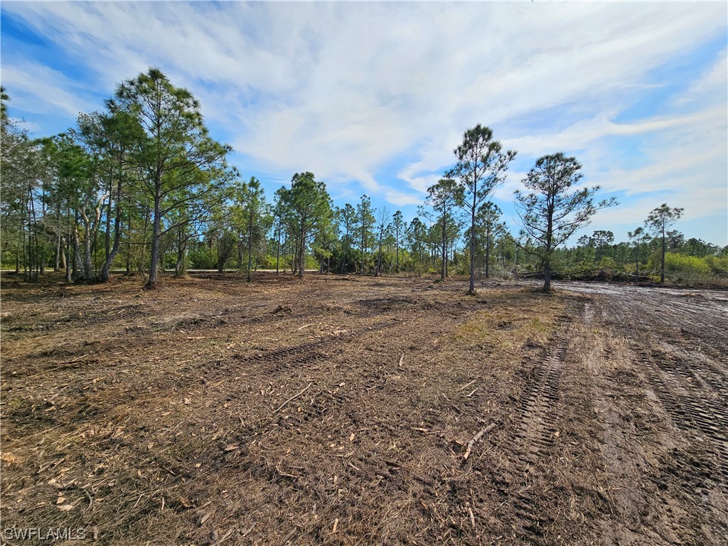 29391 Polk Drive Punta Gorda FL 33982 224015463 image1