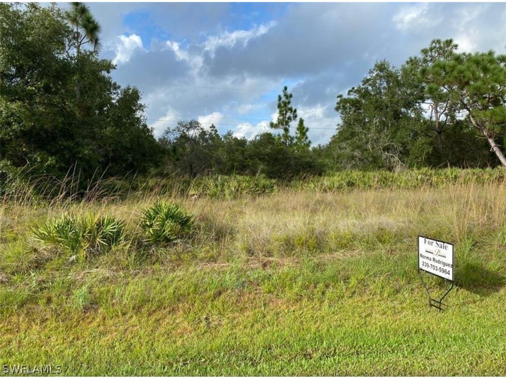 29420 Lillis Street Punta Gorda FL 33982 224036401 image1