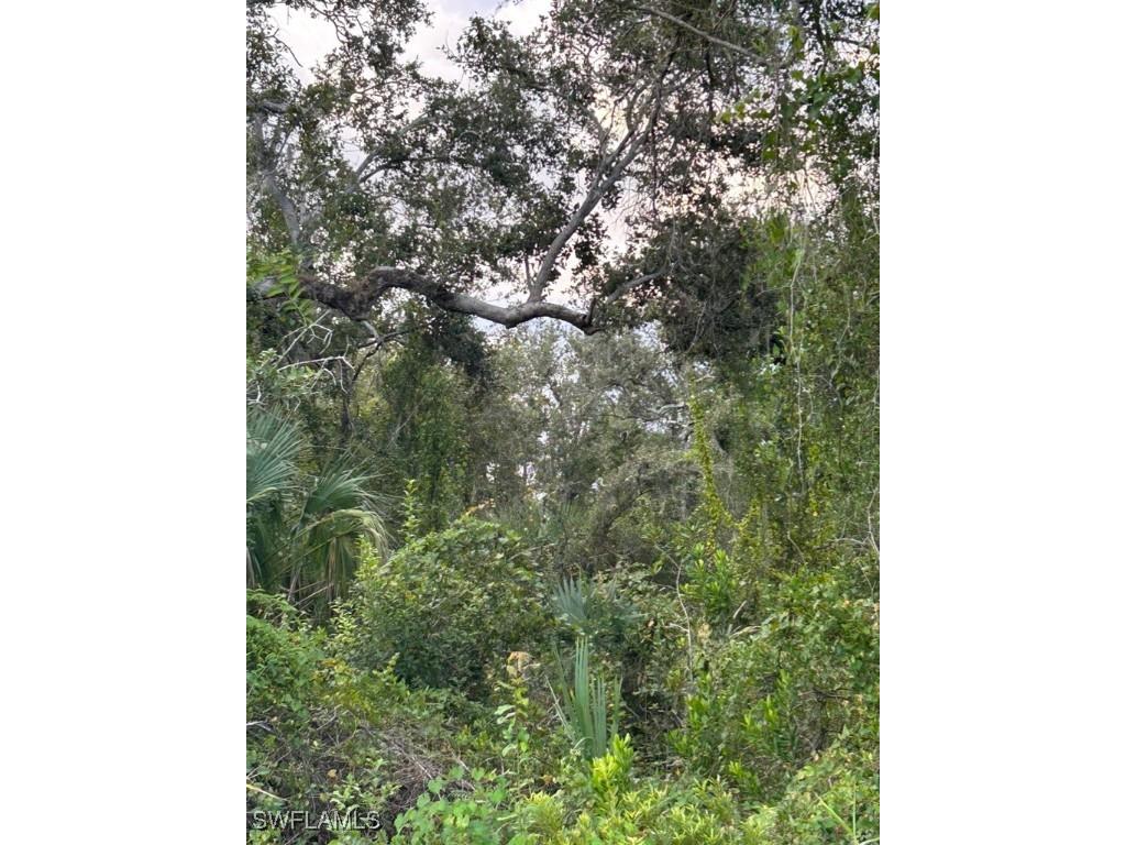 29431 Nottingham Road Punta Gorda FL 33982 225057849 image3