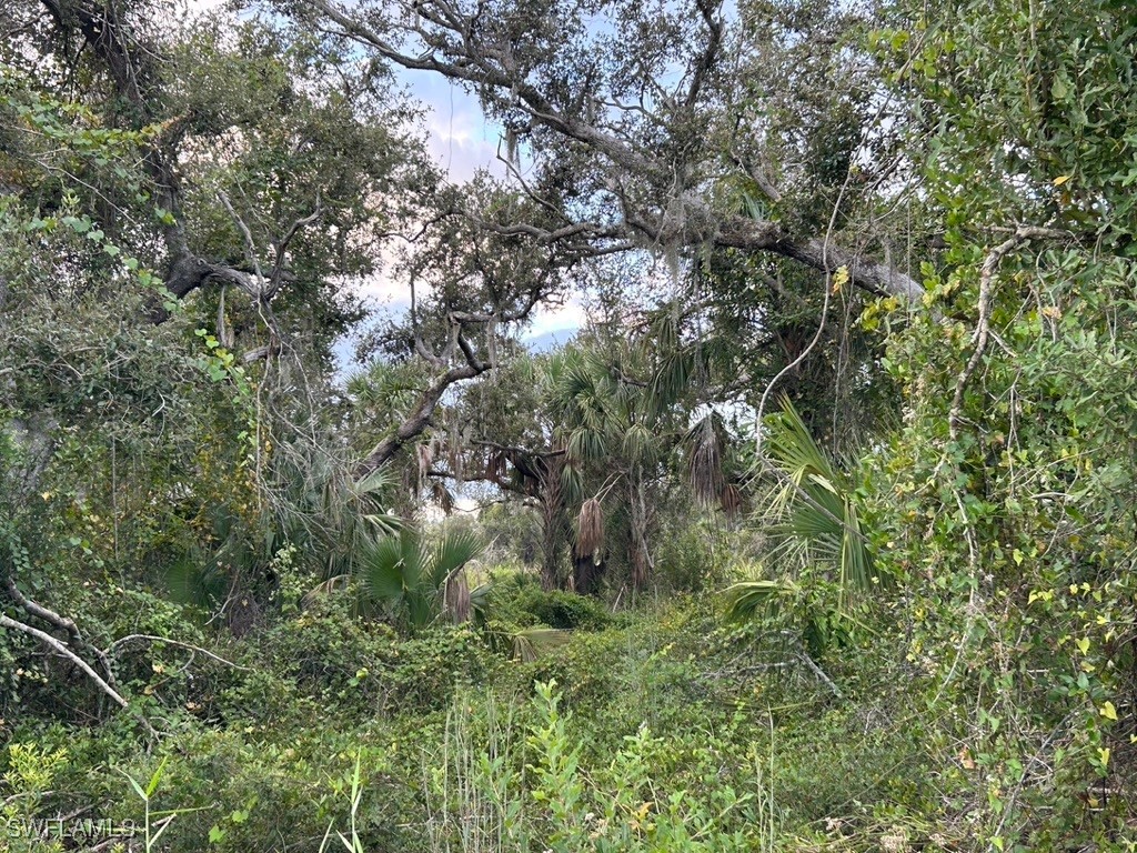 29431 Nottingham Road Punta Gorda FL 33982 225057849 image4