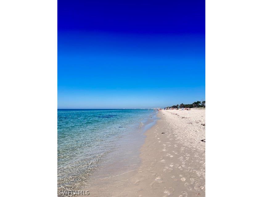 295 Grande Way #505 Naples FL 34110 225074783 image21