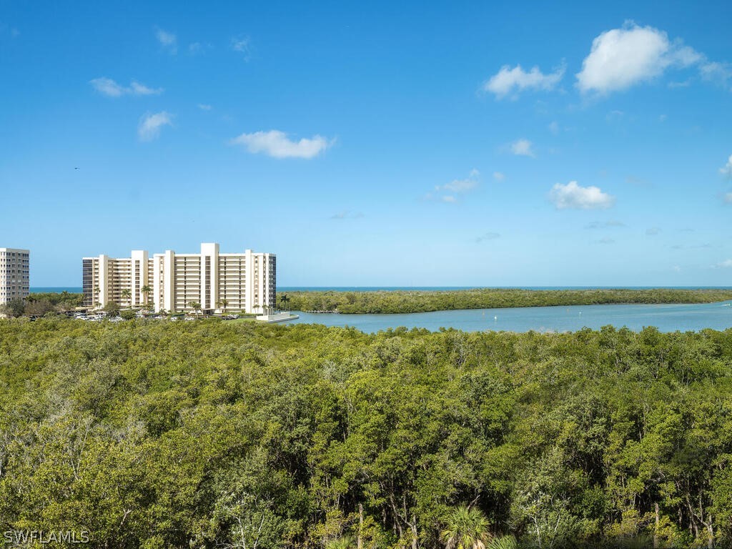 295 Grande Way #401 Naples FL 34110 226009466 image13