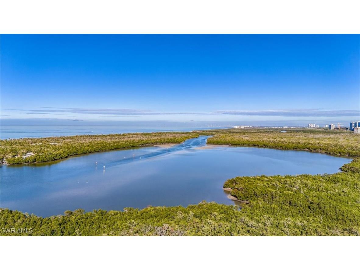 295 Grande Way #702 Naples FL 34110 225079851 image29