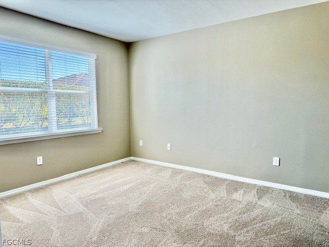 2969 Royal Gardens Avenue Fort Myers FL 33916 2025020989 image11