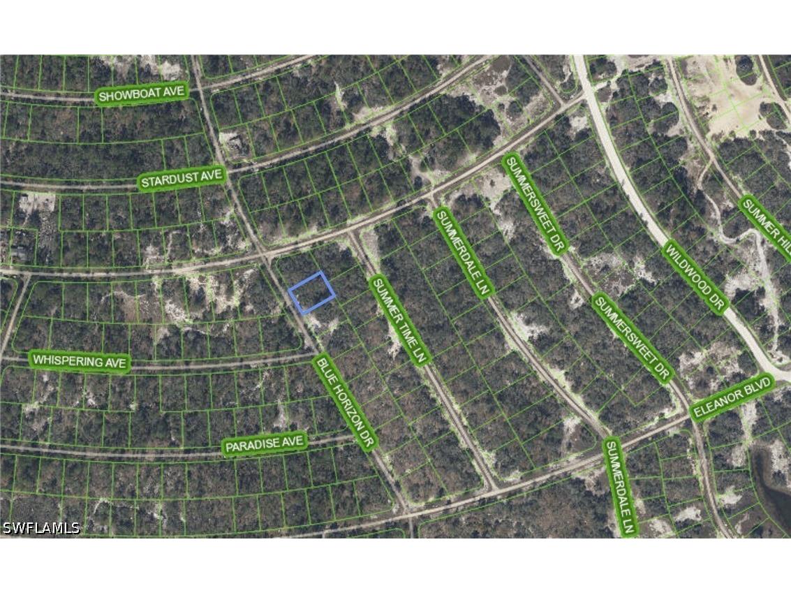 297 Blue Horizon Drive Lake Placid FL 33852 226012805 image1