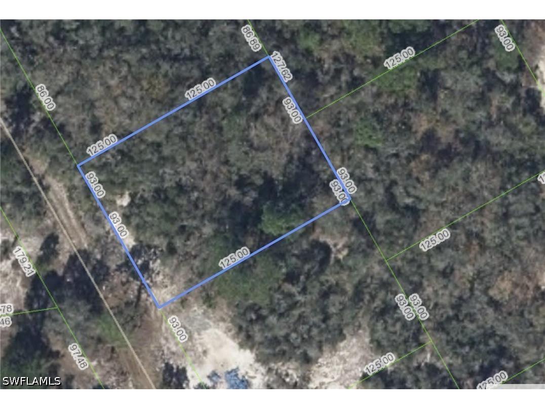 297 Blue Horizon Drive Lake Placid FL 33852 226012805 image2