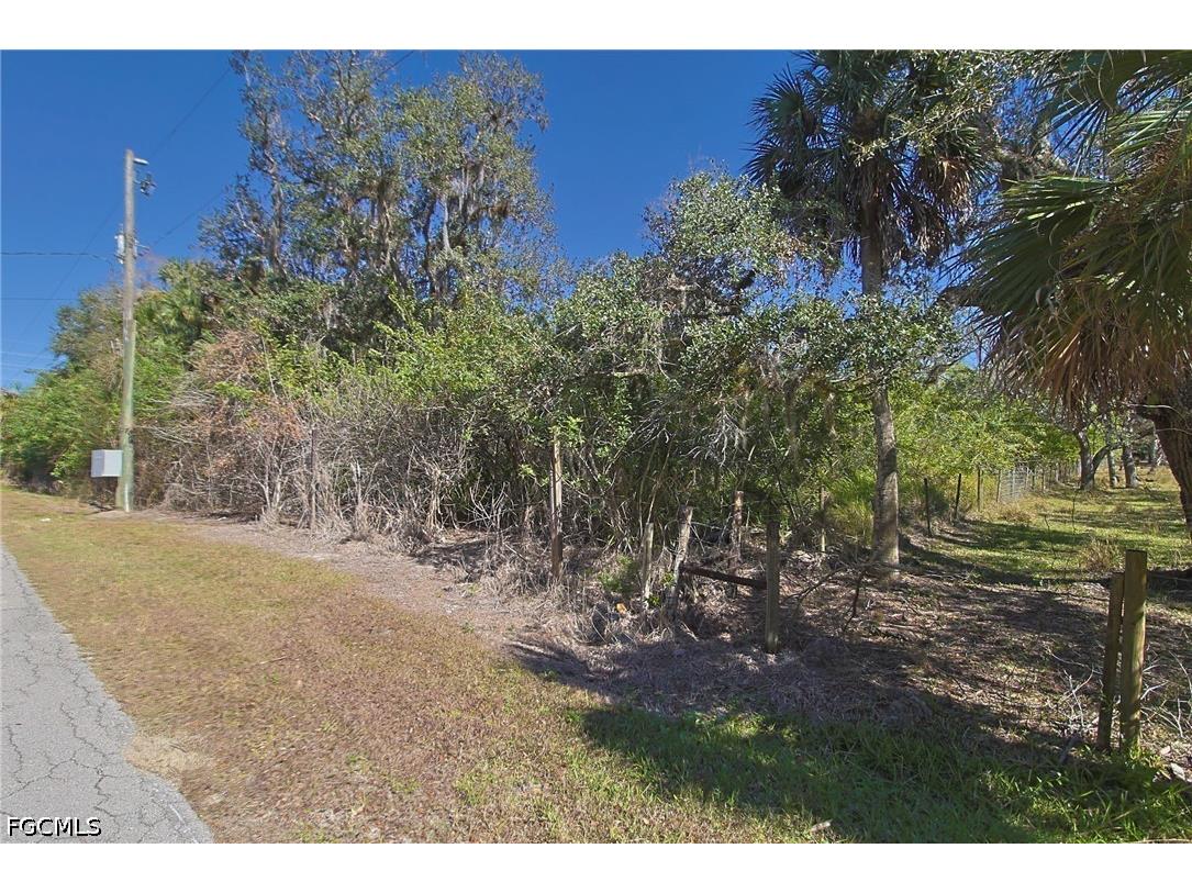 2975 Styles Road Alva FL 33920 2026028629 image1