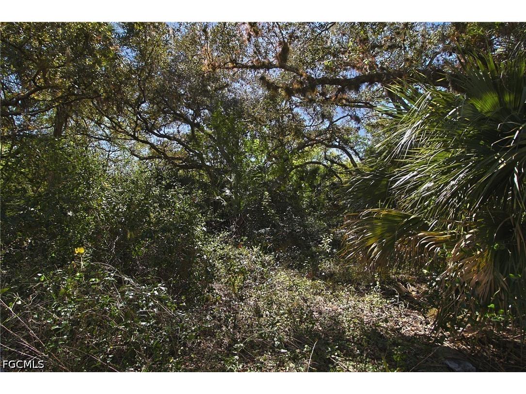 2975 Styles Road Alva FL 33920 2026028629 image5