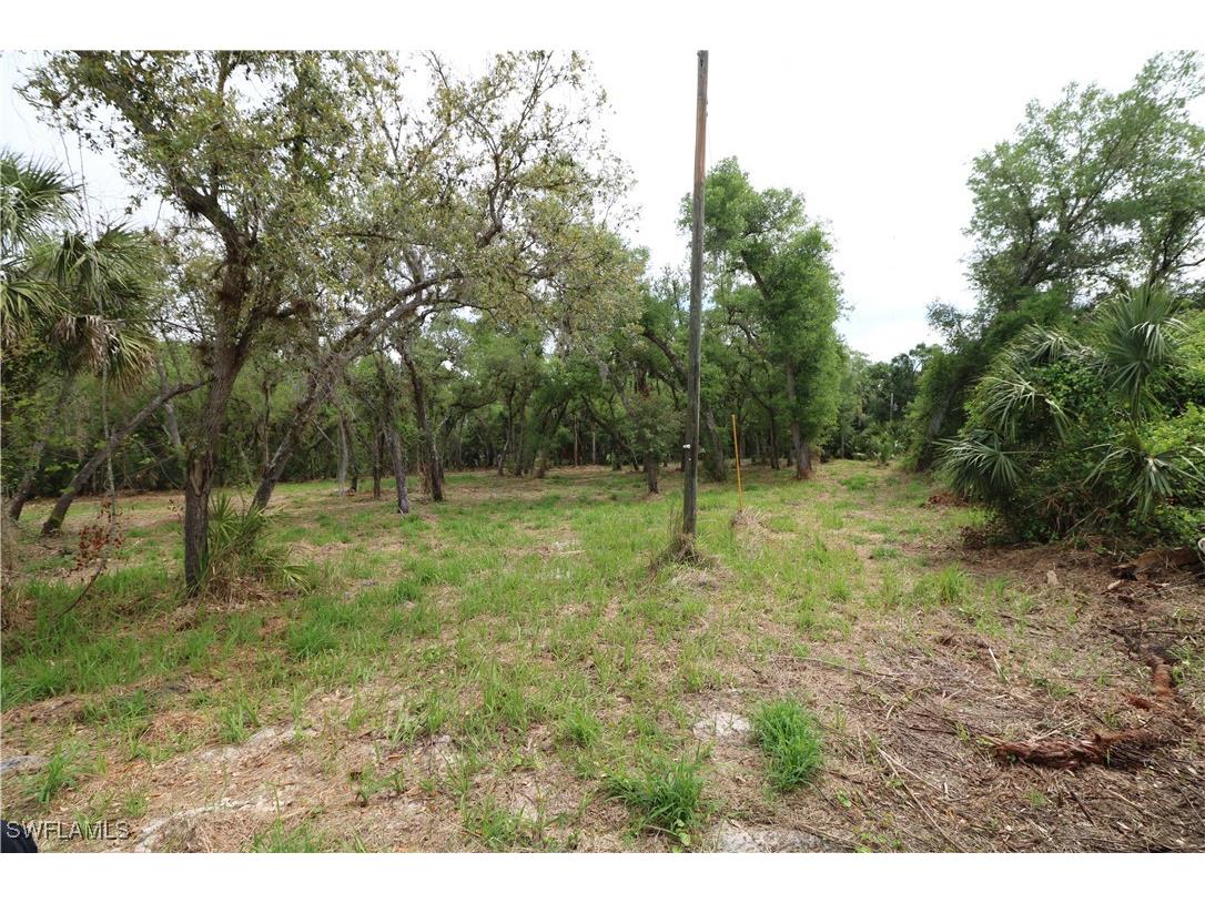 2998 SW Armadillo Trail Arcadia FL 34266 225031067 image1