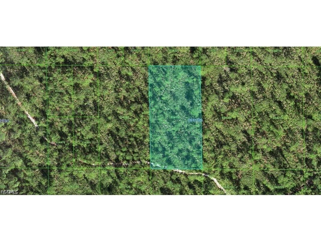 30-31-03-000000-034190 Inaaccesible Track Lake Wales FL 33898 2026016558 image1