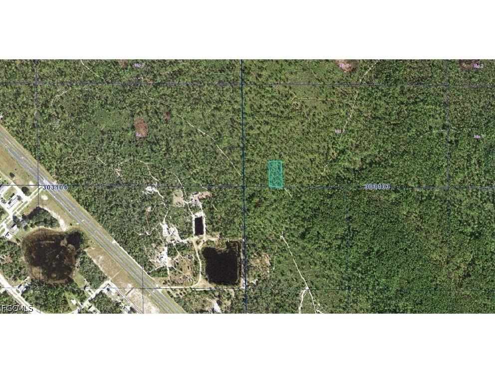 30-31-03-000000-034190 Inaaccesible Track Lake Wales FL 33898 2026016558 image2