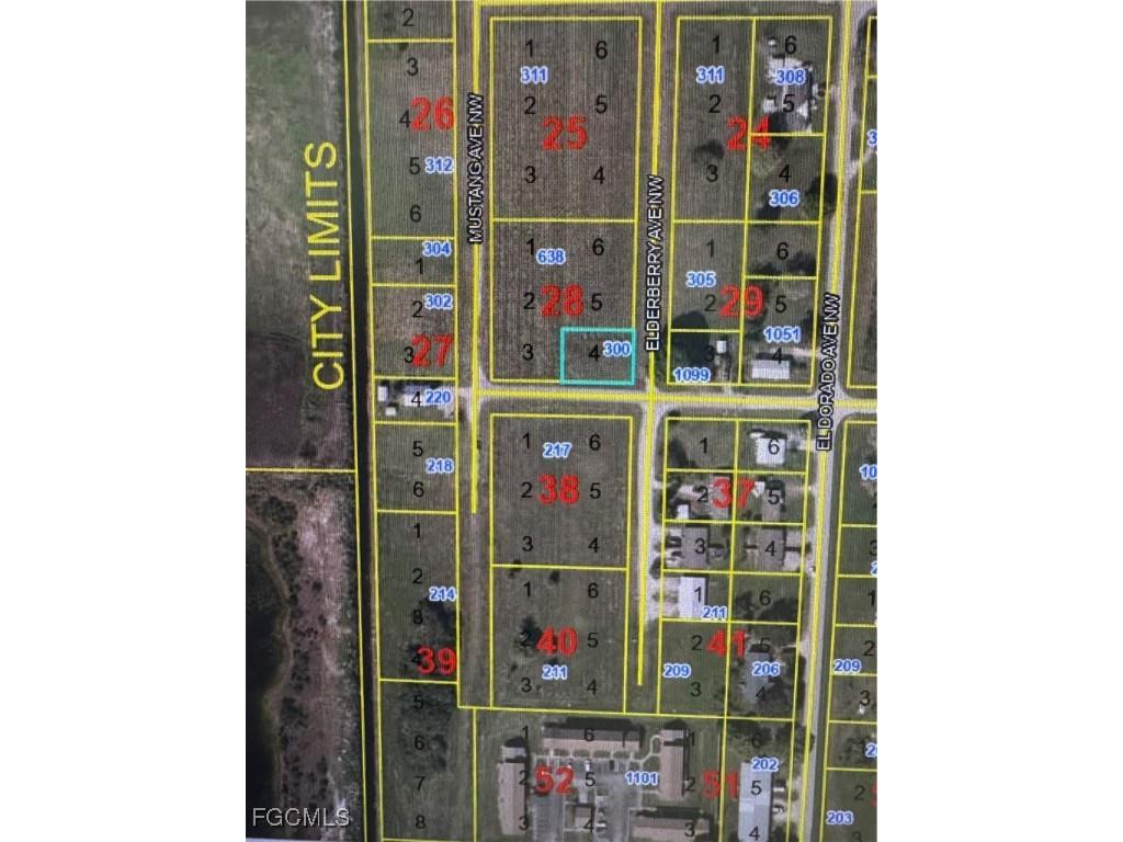 300 Elderberry Avenue NW Moore Haven FL 33471 2025000671 image1