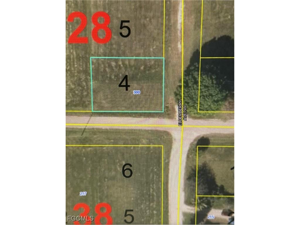 300 Elderberry Avenue NW Moore Haven FL 33471 2025000671 image2